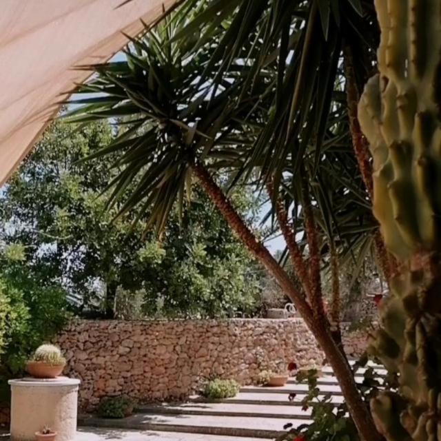 Masseria Agriturismo Il Sorriso Degli Ulivi - Dimora Di Charme ガリポリ エクステリア 写真