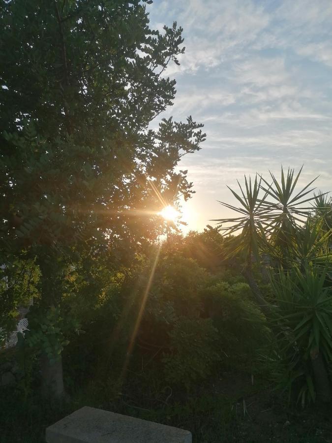Masseria Agriturismo Il Sorriso Degli Ulivi - Dimora Di Charme ガリポリ エクステリア 写真