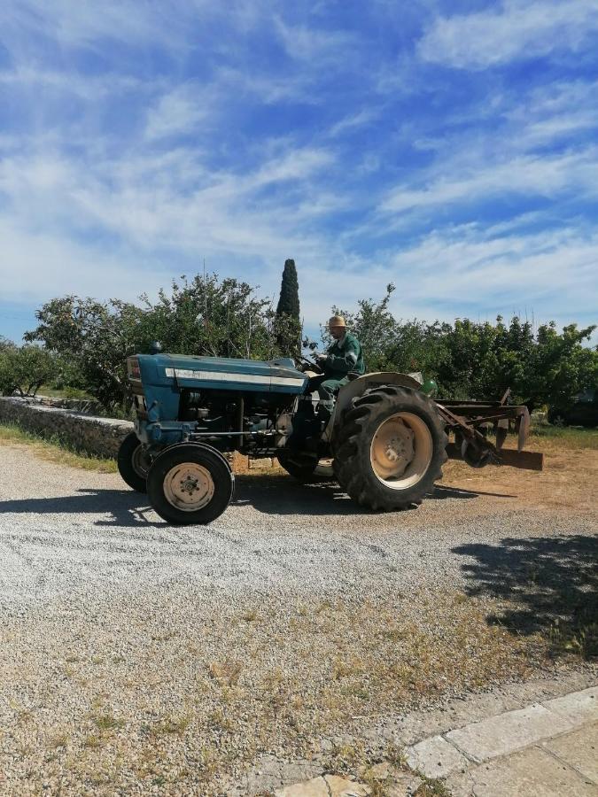 Masseria Agriturismo Il Sorriso Degli Ulivi - Dimora Di Charme ガリポリ エクステリア 写真