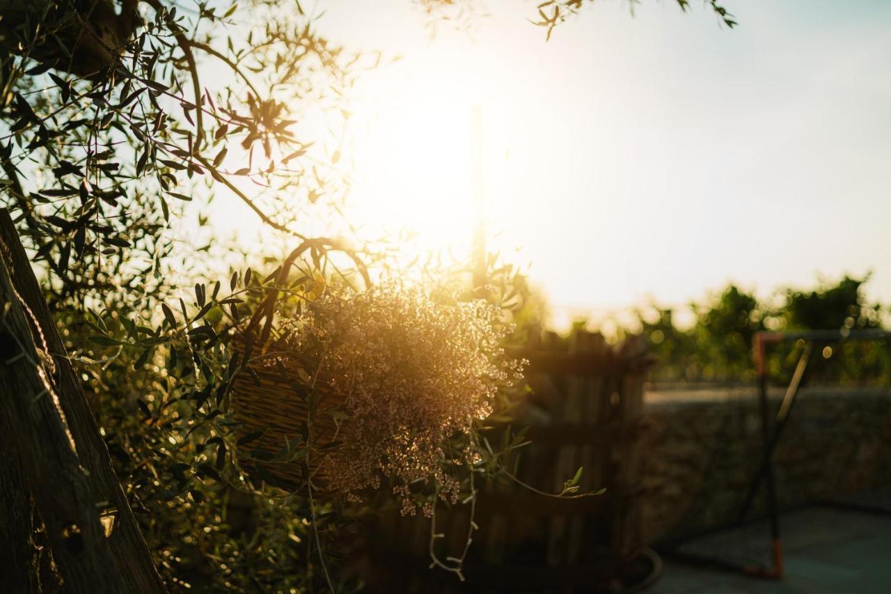 Masseria Agriturismo Il Sorriso Degli Ulivi - Dimora Di Charme ガリポリ エクステリア 写真